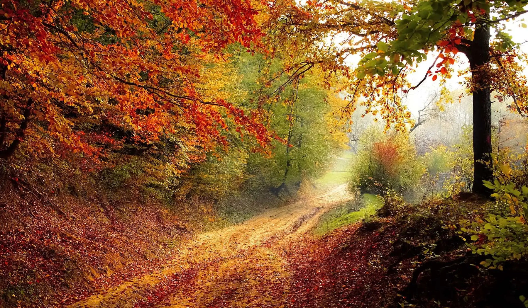 Autumn Equinox History, Meaning, and Ritual