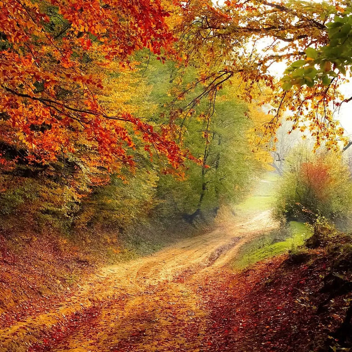 Autumn Equinox History, Meaning, and Ritual