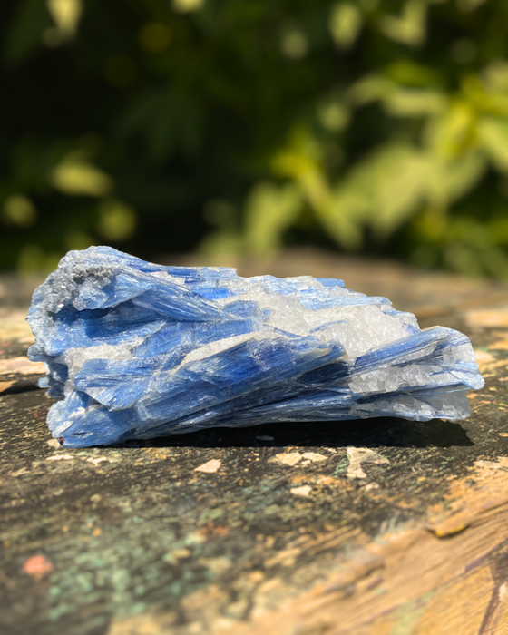 Blue Kyanite With Quartz Matrix