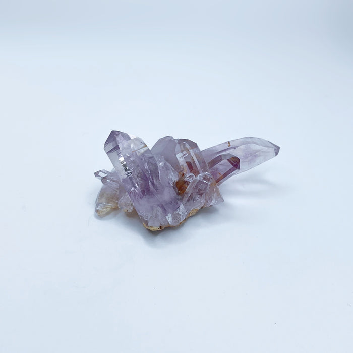 Vera Cruz Amethyst Cluster