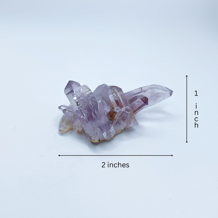 Vera Cruz Amethyst Cluster